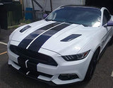 Double Racing Stripe Decal | Universal 17" Wide | Cars, Trucks, SUVs
